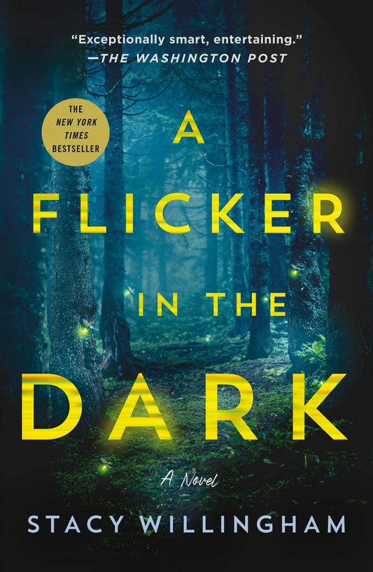 Flicker In The Dark: A Novel