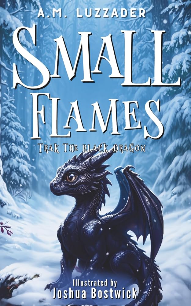 Small Flames: Trak the Black Dragon cover image